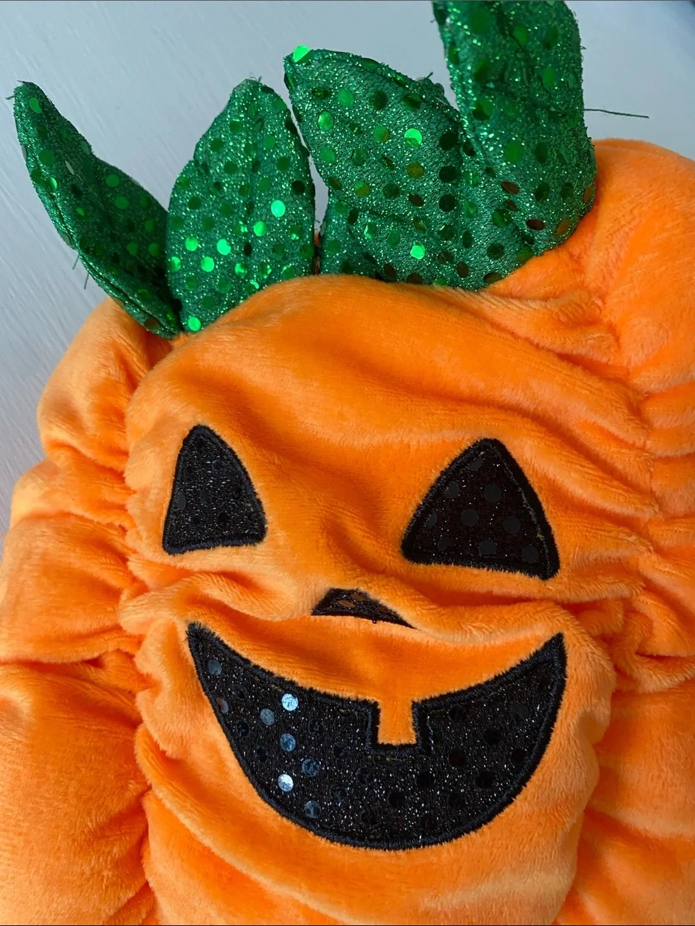Small Dog Orange Pumpkin Costume with Green Leaf Accent & Hat